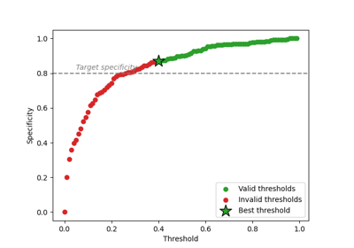 Defining a custom risk for binary classification
