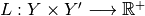 L: Y\times Y' \longrightarrow \mathbb{R}^+