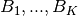 B_{1},..., B_{K}