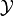 \mathcal{Y}