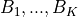 B_{1},..., B_{K}