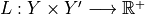 L: Y\times Y' \longrightarrow \mathbb{R}^+