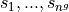 s_1, ..., s_{n^g}