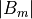 \left| B_m \right|